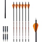 GRIZZLYSTIK Banshee 250 Spine Hunting Arrows, .204' Parallel Diameter, Shock TL Inserts (Loose), 3 Fletched with Q2i 2' Orange Vanes, Fletched 6-Pack