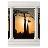  H10058M_WINS1H Sticker mural décoratif Motif Baobabs de Madagascar 50 x 70 cm