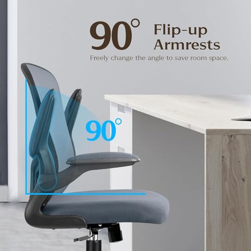 Image of FelixKing Office Desk Chairs, Ergonomic PC Desk Chair with Wheels, Adjustable Lumbar Support and Height, Swivel Computer Chair with Flip-up Armrests, Ergo Mesh Backrest for Working(Dark Gray)