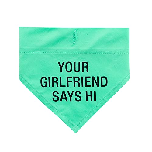 About Face Designs Pet Collection Durable Cotton Dog Bandana, S/M, Girlfriend