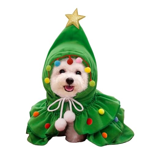 NX}X ybg RX`[ ybgpi  L }g RXv  JWA ӂӂ _炩 ϐg  ^ O[/bh (O[, M)