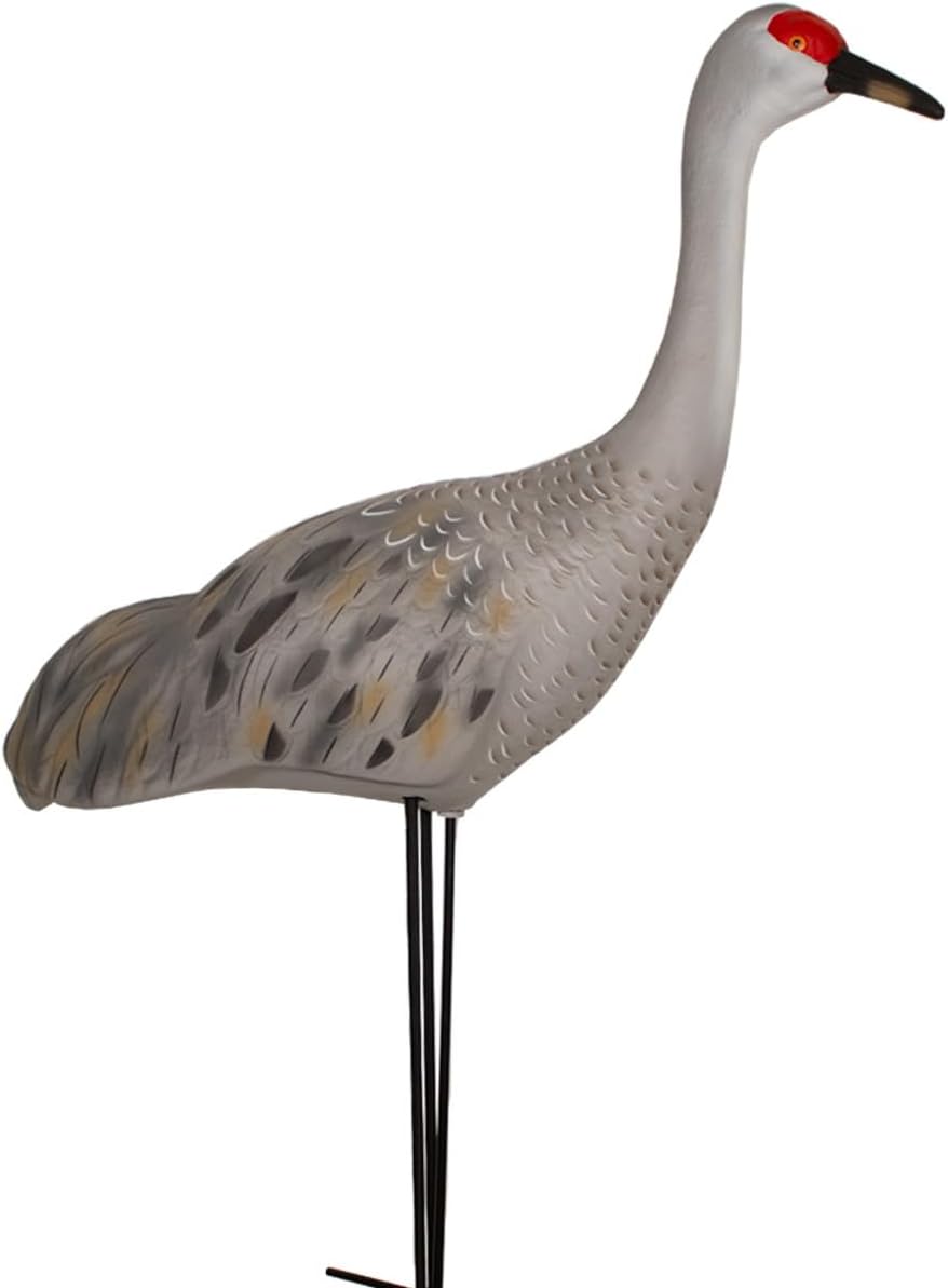 Final Approach Live Full Body Sandhill Crane Upright Decoys