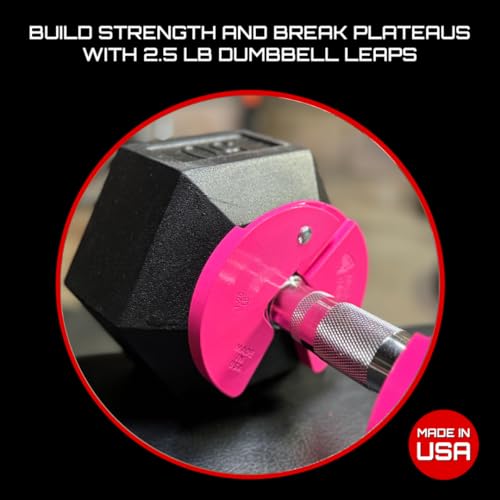Image of Micro Gainz 1.25LB Dumbbell Fractional Weight Plates, 2-Piece