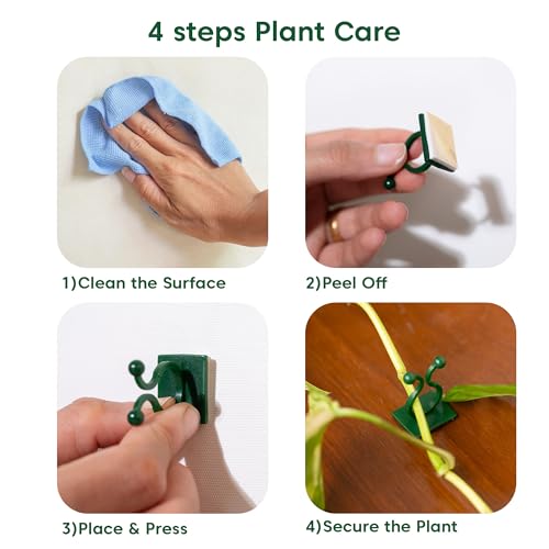 Image of Kyari Plant Clip Self-Adhesive Plant Clips for Climbers (Pack of 30)