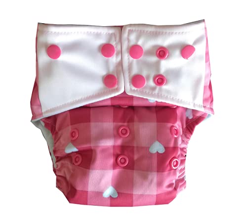 KiddieHug Ready-to-wear Heavy Absorbency Night time Reusable Cloth Diaper with Hemp Booster Insert (3 Months - 3 Years) (Pink Blossoms)
