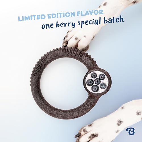 Image of Benebone Ring Dog Chew Toy for Aggressive Chewers, Blueberry, Medium | Durable, Super Chewer, Dog Bones, Long-Lasting, A Size for Every Dog, Keeps Them Busy