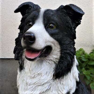 Amazon.co.jp: 犬の置物 大型犬 ボーダーコリー T14053 いぬ