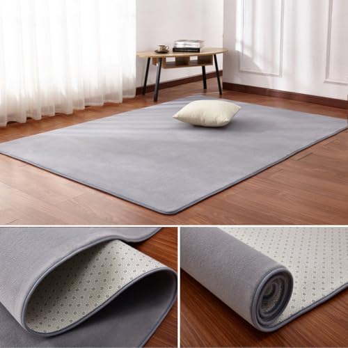 Tapis de salon molleton de corail insonorisé et tapis de maison gris