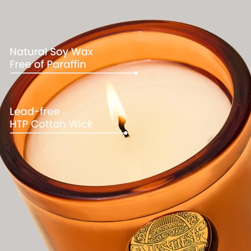 MSENSE-Natural-Soy-Wax-Orange-Goji-Scented-Aromatherapy-Candle-Gift-for-Women-and-Men-92-oz-50-Hours-Burn-Time-Neon-Orange-Luxury-Home-Scented-and-Home-Decor MSENSE Natural Soy Wax Orange Goji Scented Aromatherapy Candle Gift for Women and Men 92 oz 50 Hours Burn Time Neon Orange Luxury Home Scented and Home Decor