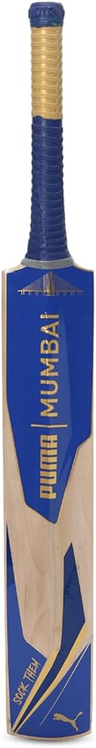 Puma City Cricket Bat - FS