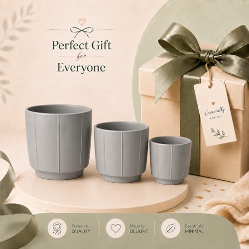 Image of Xtore Urban Ceramic Planter Set | Clean Minimal Plant Pots for Home, Office & Living Room Decor - (Set of 3, Grey, Planter ONLY)