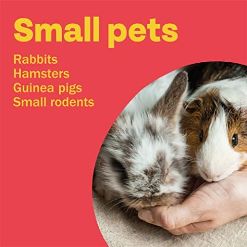 Bob Martin | Spot On Flea Treatment for Small Pets (Rabbits, Hamsters & Guinea Pigs ) |Protection Against Fleas, Ticks, Lice & Mites (1 Pipette)