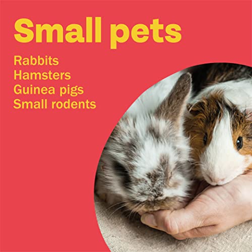 Bob Martin Clear Spot On Flea Treatment for Small Pets (Rabbits, Hamsters, Guinea Pigs & Ferrets) - Protect Against Fleas, Ticks, Lice & Mites (1 Pipette) - Image 4