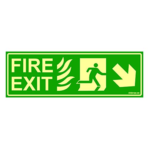 Buy Clickforsign FES-7-M-1-2x Glow in Dark Emergency Fire Exit Sign ...