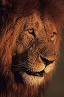 5 Inspiring Speeches: that may change your life B08BR89R4D Book Cover