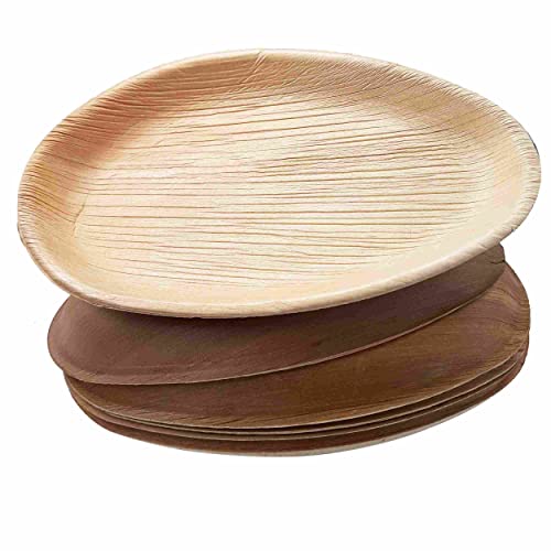 Dtocs Palm Leaf Plates Pack 50, 10X6 Inch Oval | Eco-Friendly, Compostable, Natural, Organic Disposable Party Plates For Wedding, Camping, Birthday Dinner | Better Than Bamboo, Paper Plates #TOP1