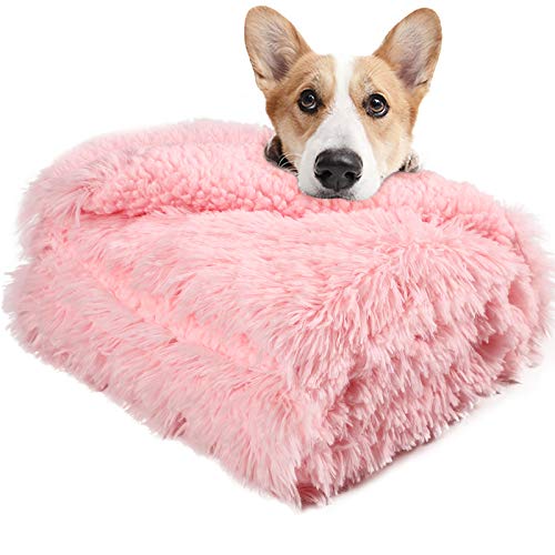 Lochas Luxury Fluffy Dog Blanket, Extra Soft And Warm Sherpa Fleece Pet Blankets For Dogs Cats, Plush Furry Faux Fur Puppy Throw Cover, 30''X40'' Pink #TOP13