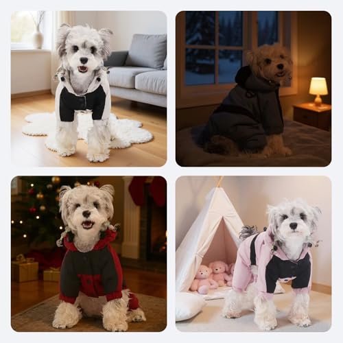 Ropa de invierno para perro con capucha y clip metálico miniatura 6