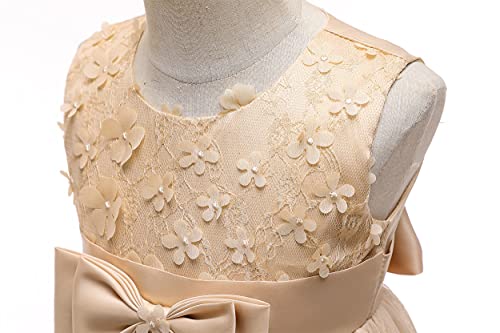Weileenice Holiday Big/Little Girl Flower Lace A-line Wedding Party Dresses Kids Pageant Birthday Formal Dress3