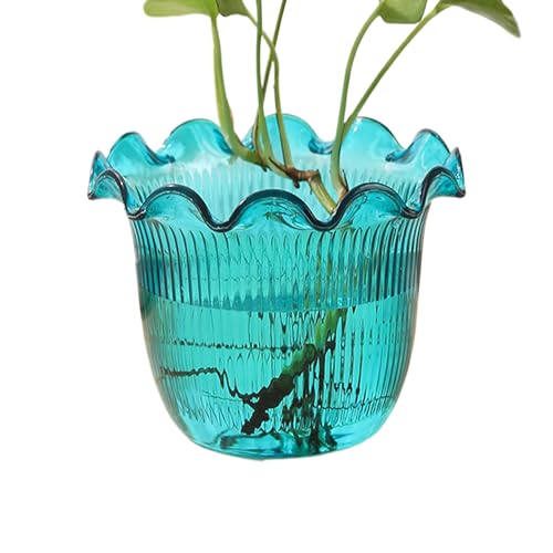 Yulokdwi Jarrón Transparente | Florero para Plantas Acuáticas - Maceta Hidropónica Decorativa para Hogar Oficina Libro Cocina Lobby Hotel Cenas Flores Secas Centro de Mesa y Despacho