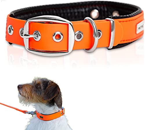 🐾Il MATERIALE TRIOFLEX TRIPLAMENTE RAFFORZATO offre una robustezza e una durabilità che respingono lo stampo, lo sporco, l'acqua e le intemperie, ed è facile da pulire; il resistente materiale Trioflex offre la massima sicurezza grazie alla sua robustezza