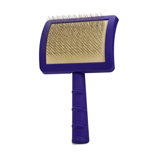 Jelly Pet Universal Slicker Brush for Dogs, Remove Tangles and Dead Undercoat, Doodle Huskie Sheep Dog Golden Retriever German Shepherd, Soft Pins, Purple, Large