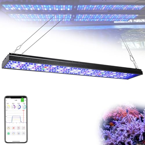 Lampe récifal spectre complet pour aquarium marin de 90cm avec contrôle via application