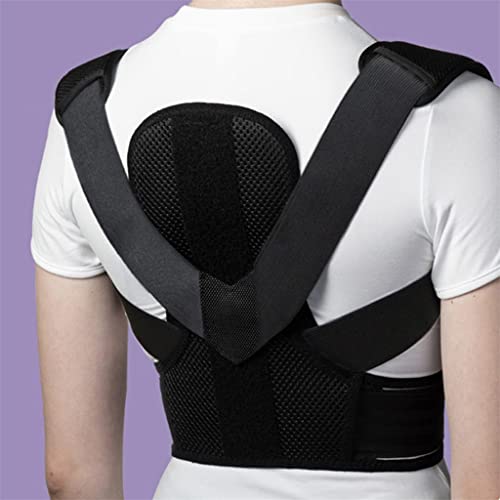 Soutien de la taille au bureau ceinture de colonne réglable M