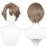 AEQPUIYE Honkai: Star Rail Welt Yang Cosplay Wig New Game Light Brown Wig Halloween Costume Party Synthetic Wigs+Wig Cap