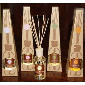 Scentual Expressions Botanical Diffuser In Welcome Home