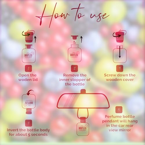 Image of Car Air Freshener Diffuser, GrapeBerry Bliss Aromatherapy, Natural Fragrance Oil, Long Lasting, by Bootleg Collection, Made in USA