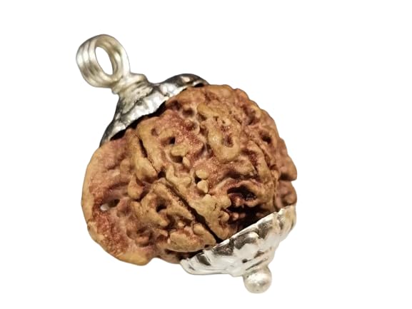 Rare Gems GalleryAAA+++ Rated Ganesh Rudraksha Original Certified Nepali Prayer Bead Ruthratcham गणेश रुद्राक्ष Authentic Ganpati Rudraksh With Capping & Thread Pendant For Wearing For Unisex