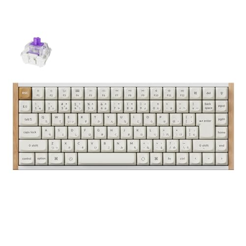 Keychron K2 HE ラピッドトリガー ワイヤレスキーボード US配列 Amazon | 【国内正規品】Keychron K2 HE ラピッドトリガー
