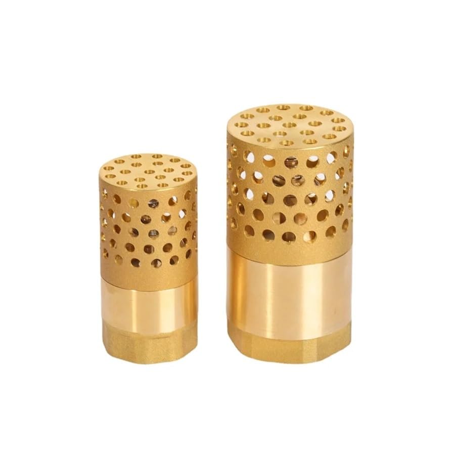 Clapet anti-retour DN50 2 pouces laiton crépine filtre plomberie eau