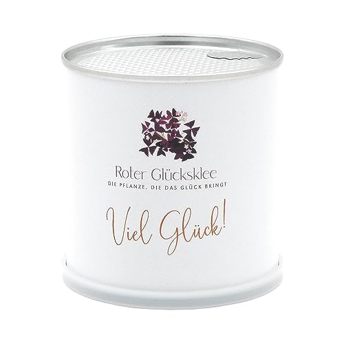 Süße Instant-Blumendose Mit Veilchen-Samen – Anzuchtset Für Drinnen, Perfekt Als Geschenk