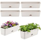 KvyusFlourish 6 Pack 16 inch