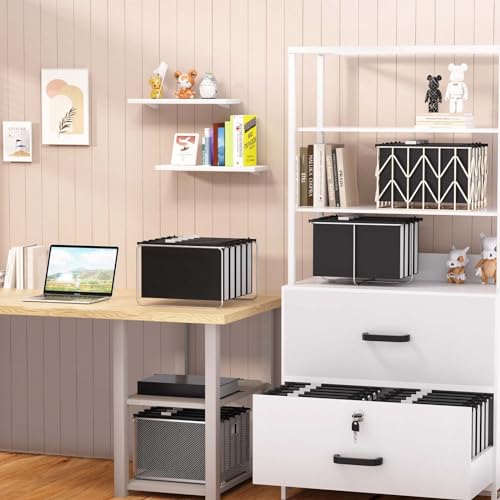 Shutex Pastas de arquivo de plástico com capacidade extra, pacote com 12 pastas suspensas de tamanho