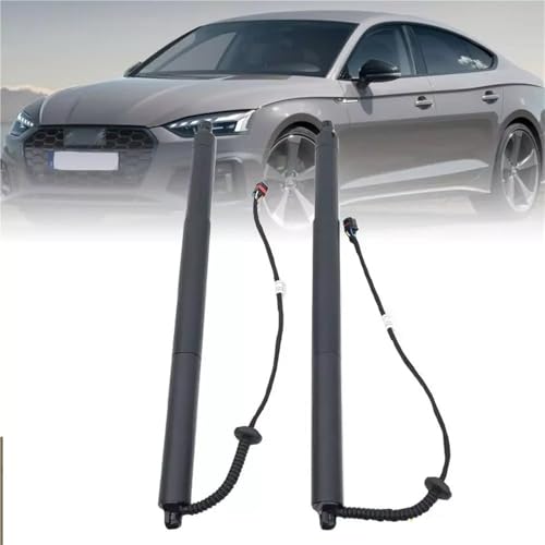 Support hayon électrique stable et robuste : tiges de rechange 2398203 (paire)