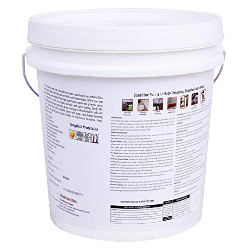 Made Product Ensign Paints Exterior Ultra Premium 100% Latex Paint, Exterior Paint, Flat Finish, 1 Quart, Eco-Friendly Paint (Neutral Base) (WS_T_EP_03_10 LTR_Dark Green 1149) 1