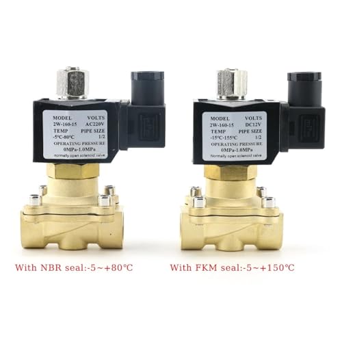 Électrovanne en laiton DN20 AC220V avec joint Viton normalement ouverte