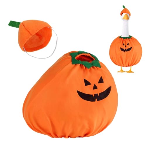 Déguisement d'Oie Citrouille Halloween lasuroa Vêtements Canard Jardin