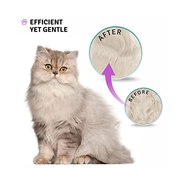 Poodle Pet Dematting Fur Rake Comb Brush Tool with Long 2.5” Steel Safety Blades for Detangling Matted or Knotted Undercoat Hair, Safe Grooming Accessories for Dogs, Longhaired Cats, Rabbits, Horses – Bild 7