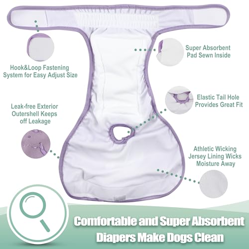 Image of wegreeco Washable Reusable Premium Dog Diapers, Pack of 3, Small Dog Puppy & Doggy Diapers Female, Dog Period Panties Diapers Female in Heat X-Large