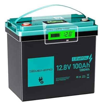 12V 100Ah BCI Group 24 LiFePO4 Battery, Max. 15000 Deep Cycle Lithium Rechargeable Battery, Built in 100A BMS for RV, Trolling Motor, Camping, Marine, Home Energy Storage