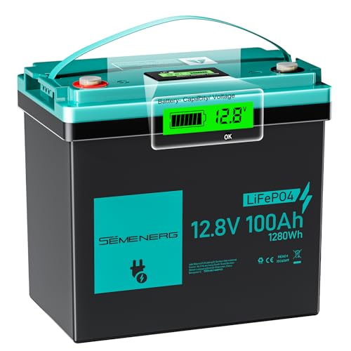 12V 100Ah BCI Group 24 LiFePO4 Battery, Max. 15000 Deep Cycle Lit...