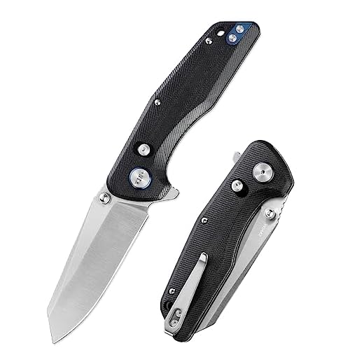 WIN+ Pocket Knife, Folding Knife with Button Lock and Axis Lock, Tactical Knives with Ball Bearing and Thumb Stud, G10 Small EDC Knife for Survival Camping 3442 (A-Black-G10)