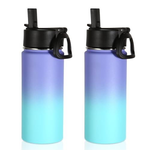 Volhoply 16oz Insulated Kids Water Bottle with Straw, Purple Blue, 2-Pack