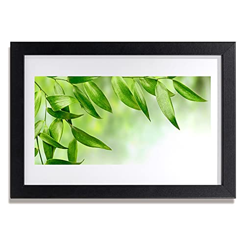 Photo murale salon Tulup affiche avec cadre MDF nature feuilles 30x20