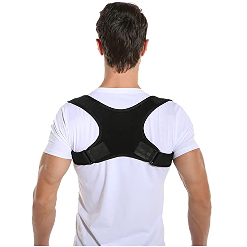 ���߉\�Ȕw�����p���␳�� - �����j���p�o�b�N�u���[�X�p���␳��A��l�p�w���㕔�T�|�[�g�u���[�X�A�w��������A�{�f�B�E�F���l�X�p���␳�� (L) (M) charitable