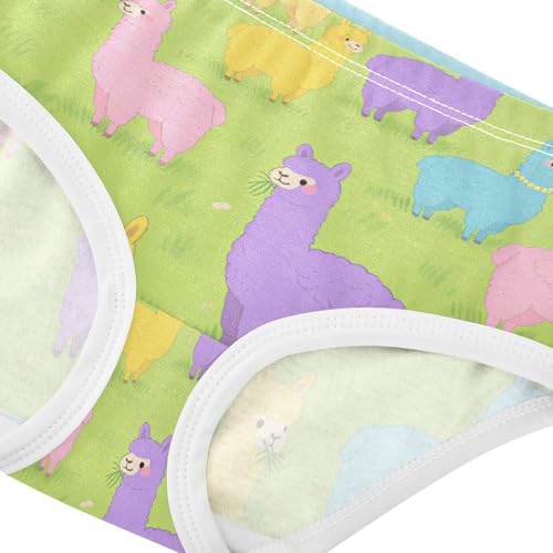 Organic Cotton Panties Stretchy Triangle Panties Comfort Underwear for Kids in Sizes 2T,3T, 4T, 5T, 6Y and 8Y4